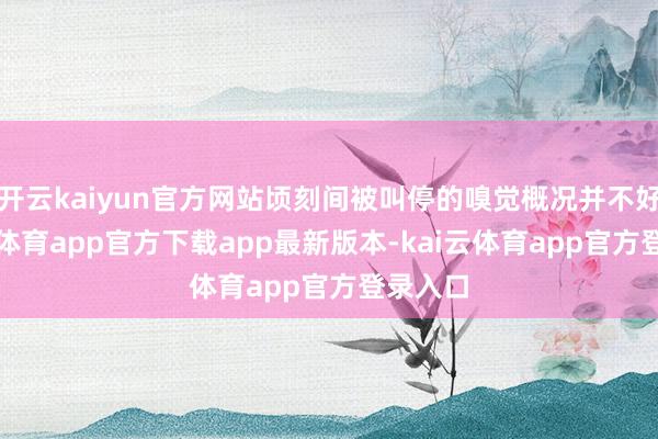 开云kaiyun官方网站顷刻间被叫停的嗅觉概况并不好-kai云体育app官方下载app最新版本-kai云体育app官方登录入口
