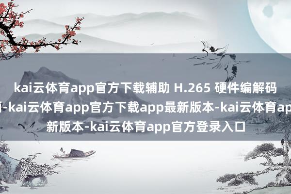 kai云体育app官方下载辅助 H.265 硬件编解码和双路 4K 画面-kai云体育app官方下载app最新版本-kai云体育app官方登录入口