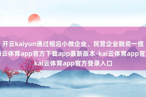 开云kaiyun通过相沿小微企业、民营企业融资一揽子政策-kai云体育app官方下载app最新版本-kai云体育app官方登录入口