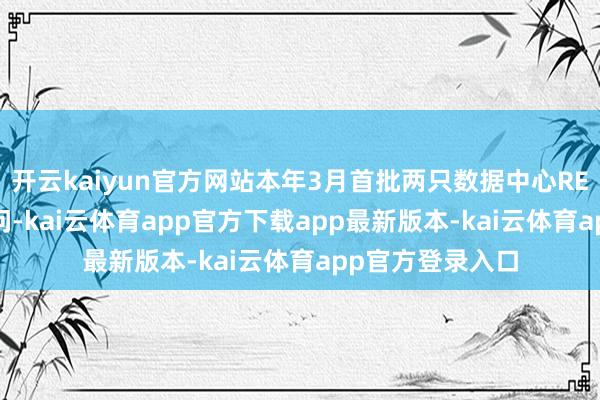 开云kaiyun官方网站本年3月首批两只数据中心REITs基金先后请问-kai云体育app官方下载app最新版本-kai云体育app官方登录入口