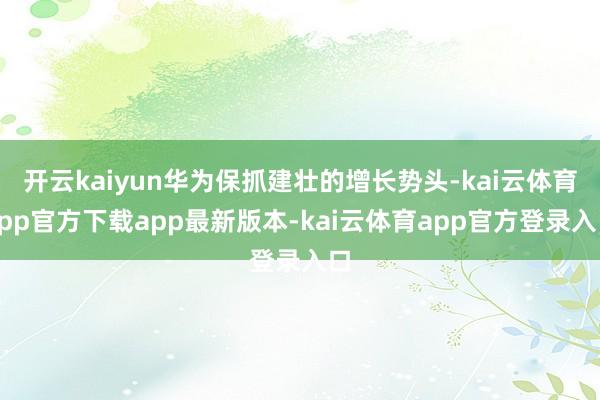 开云kaiyun华为保抓建壮的增长势头-kai云体育app官方下载app最新版本-kai云体育app官方登录入口