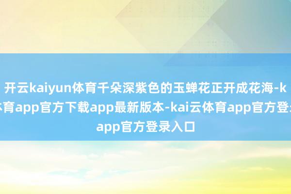 开云kaiyun体育千朵深紫色的玉蝉花正开成花海-kai云体育app官方下载app最新版本-kai云体育app官方登录入口