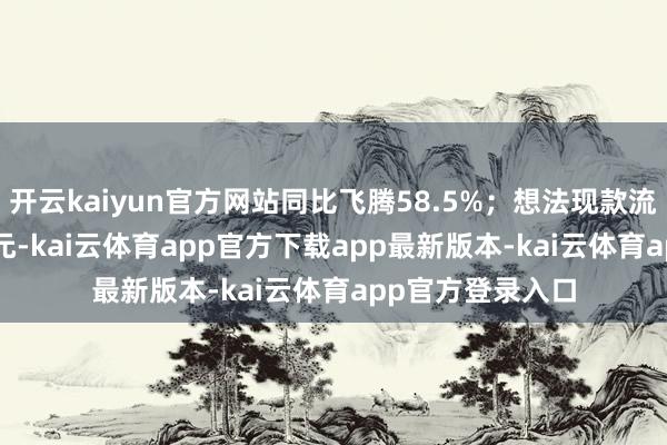 开云kaiyun官方网站同比飞腾58.5%；想法现款流净额为-1.22亿元-kai云体育app官方下载app最新版本-kai云体育app官方登录入口