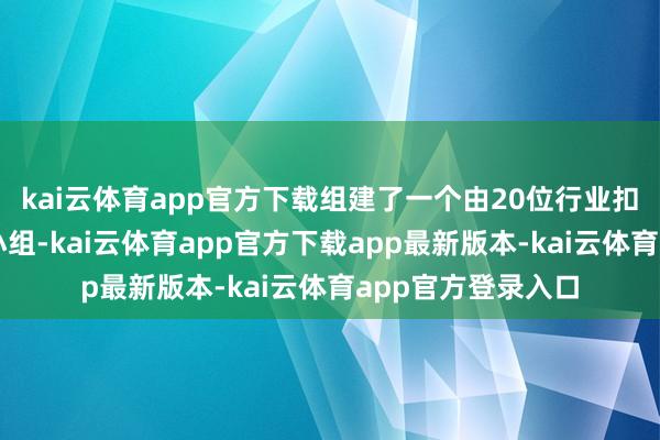 kai云体育app官方下载组建了一个由20位行业扣问员构成的测评小组-kai云体育app官方下载app最新版本-kai云体育app官方登录入口